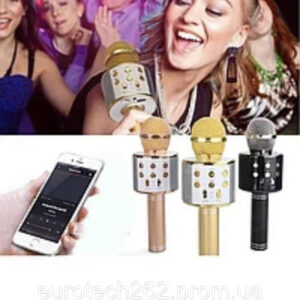 4788146041 karaoke mikrofon.jpg